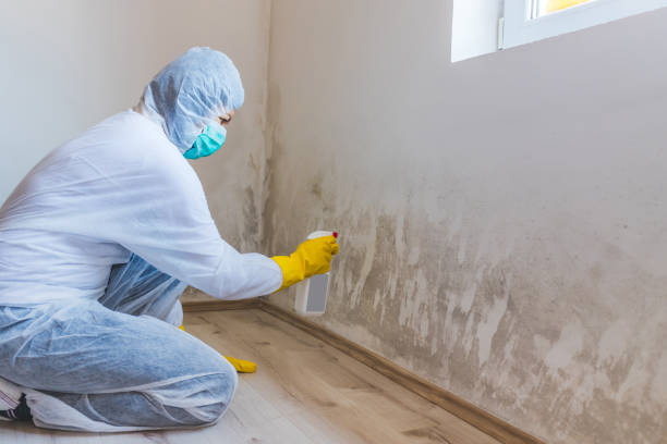 Hvac And Air Duct Mold Remediation inspection of HVAC system in California